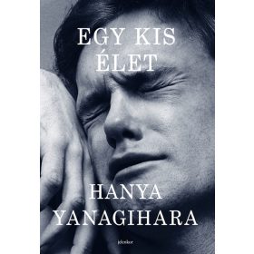 Egy kis élet (megjelenés: 2026.09.09.)